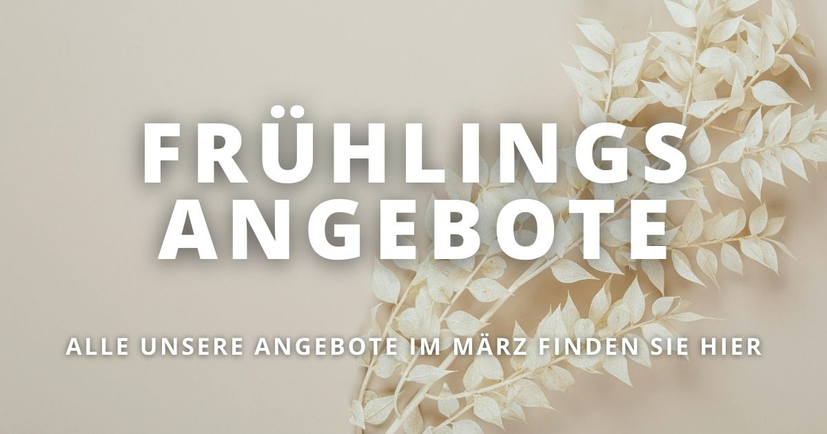 Angebote bei Freddyhaus