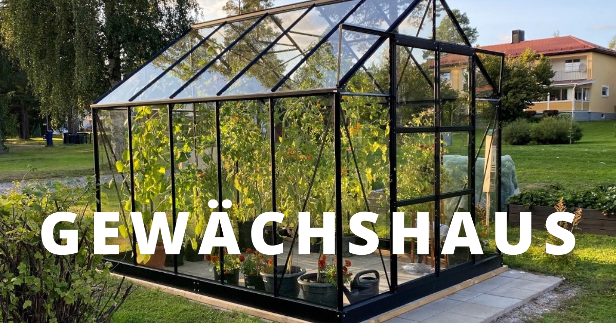 Günstige Gewächshäuser groß und klein Günstige Gewächshäuser groß und klein