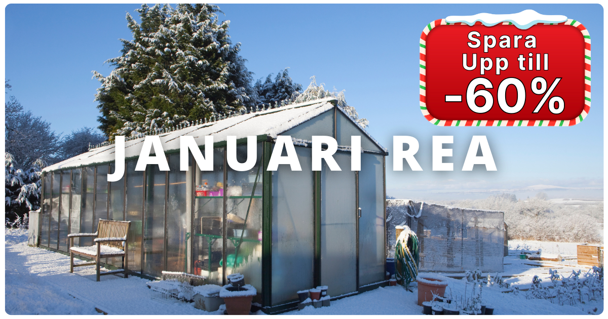 Januari rea Januari rea