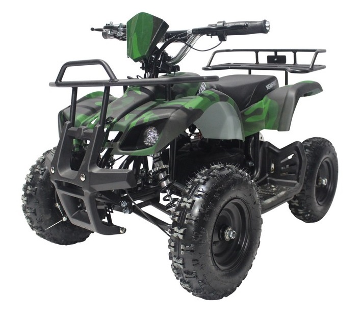 Elektrisk Mini-Fyrhjuling - 800W