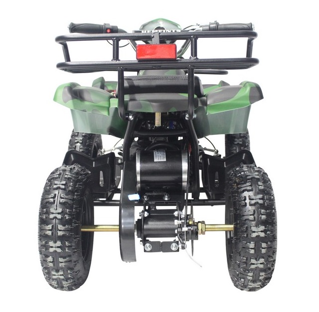 Elektrisk Mini-Fyrhjuling - 800W