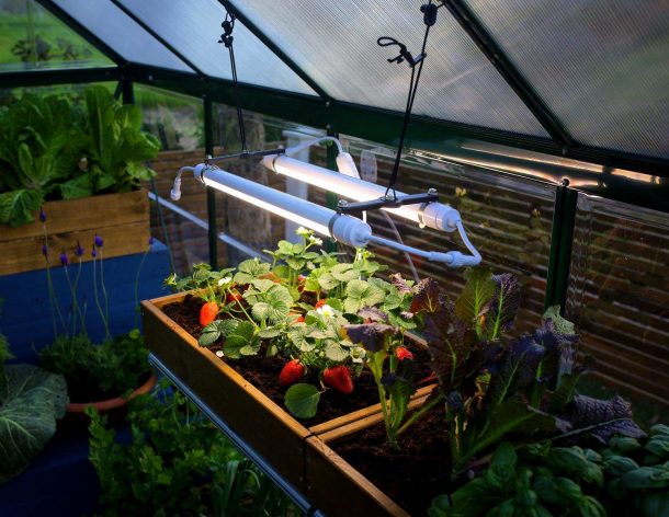 Växthusbelysning Växthusbelysning