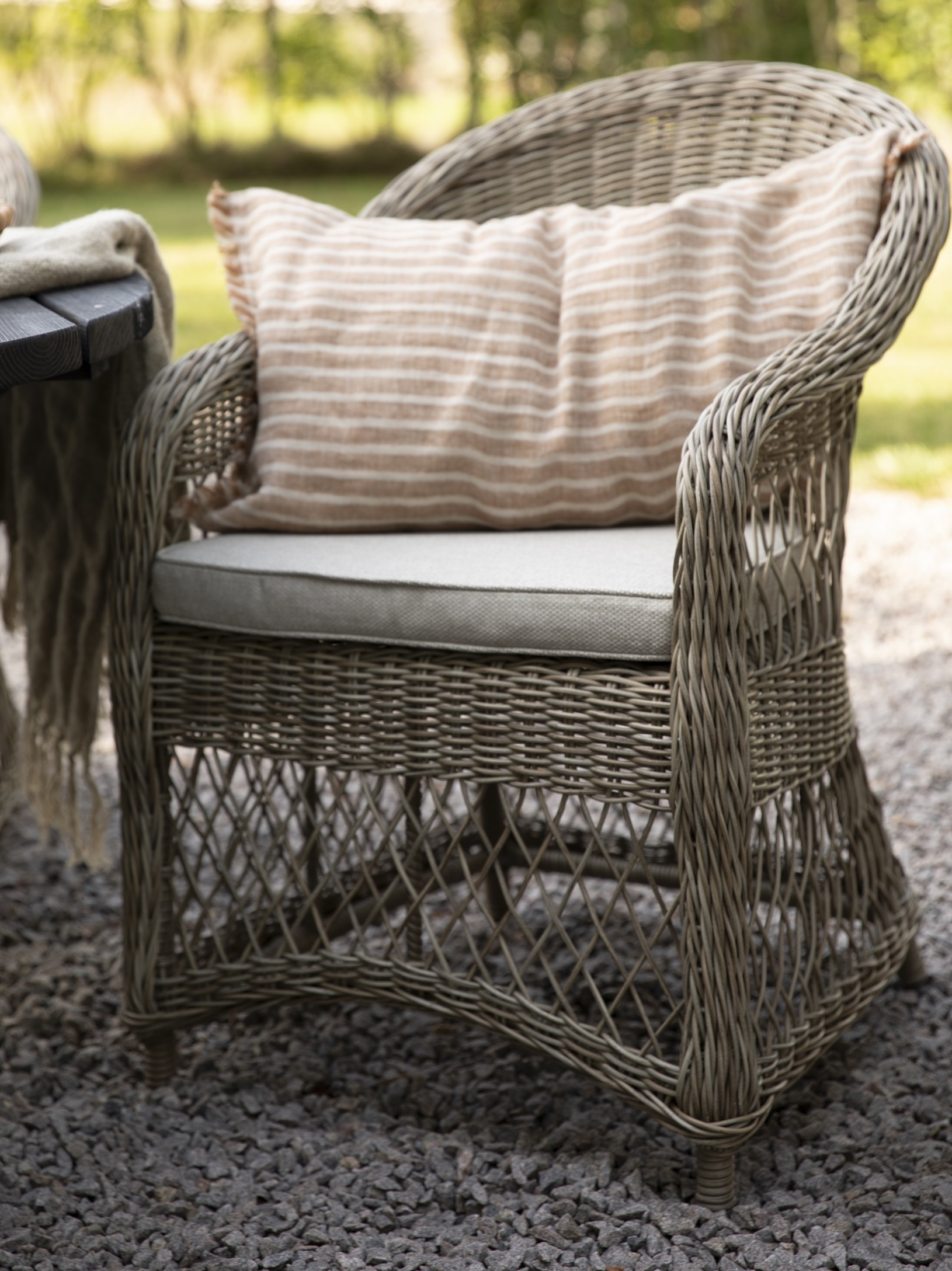 Marbella rottingftlj - Natur