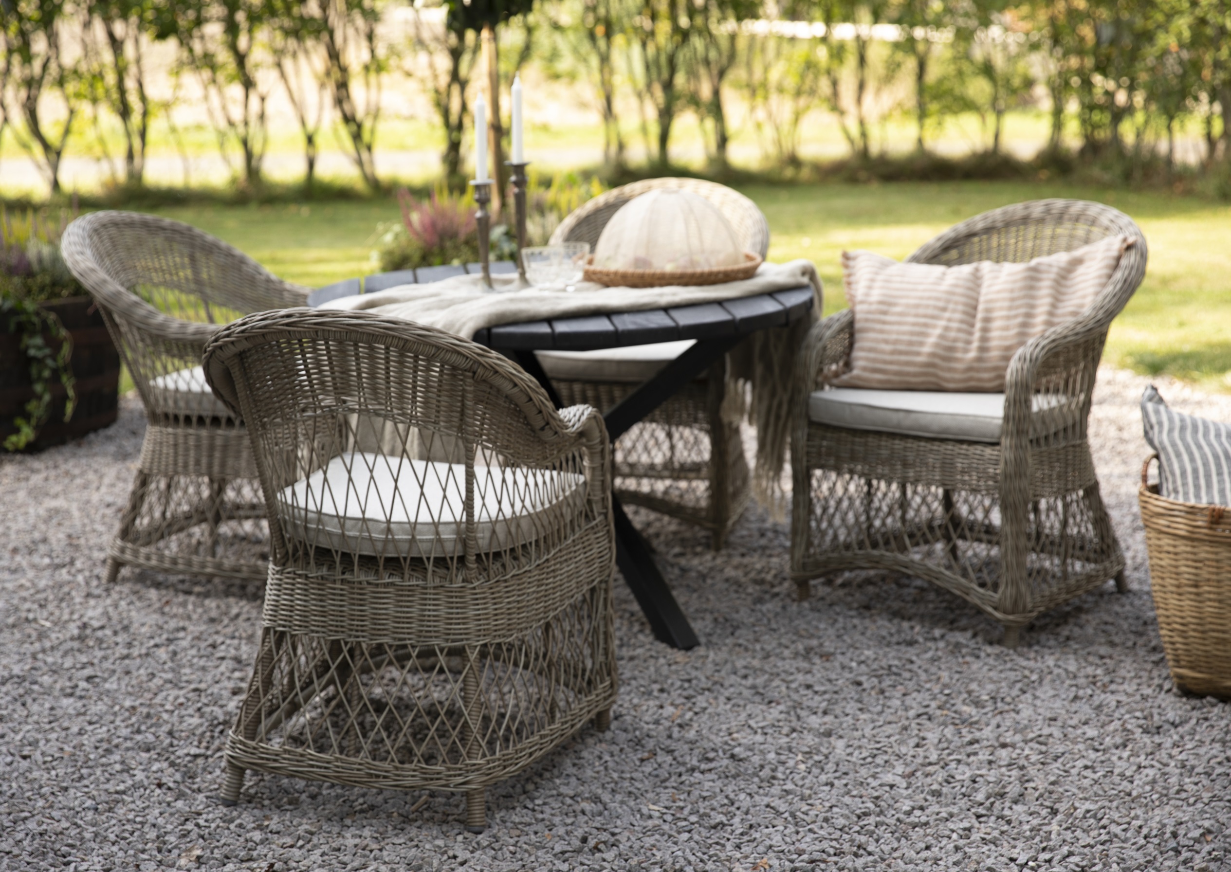 Marbella rottingftlj - Natur