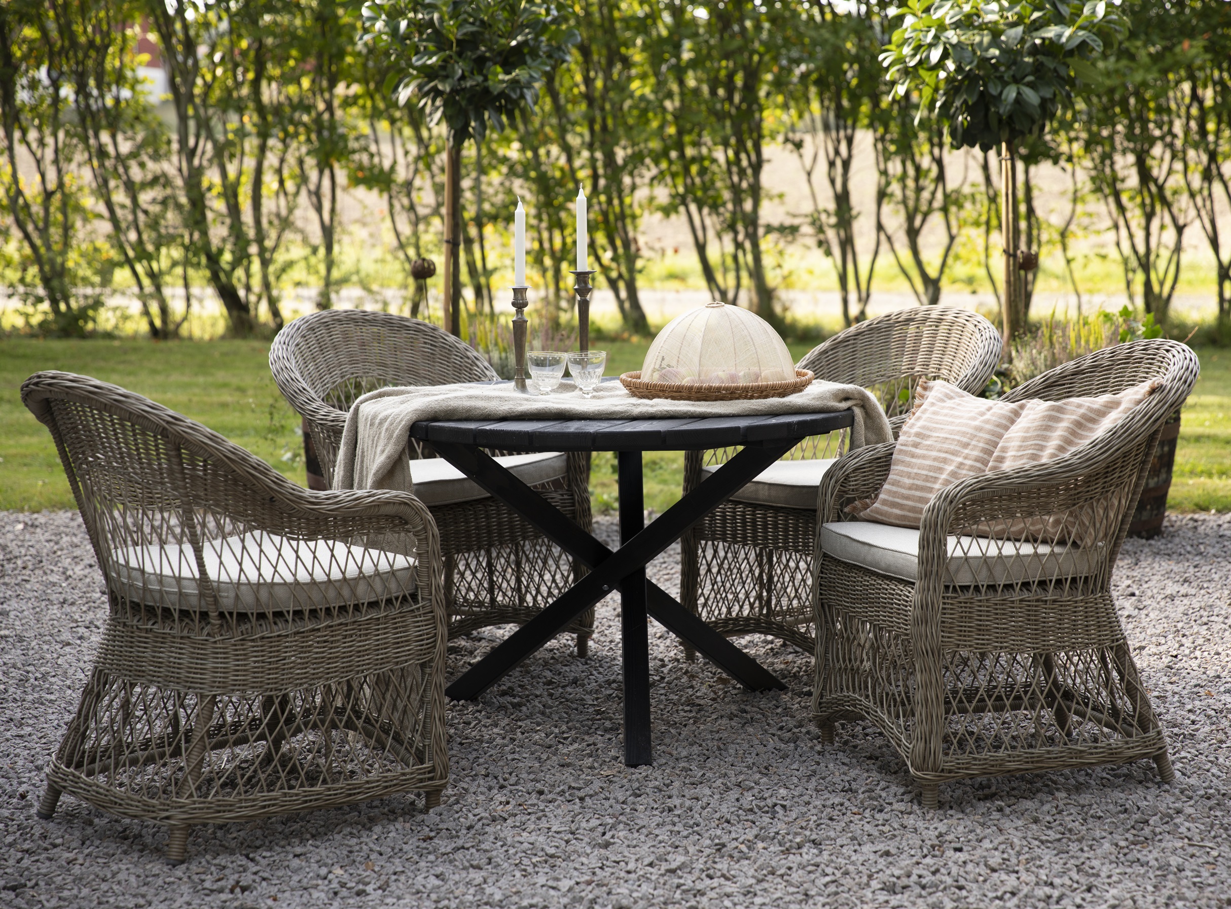 Marbella rottingftlj - Natur