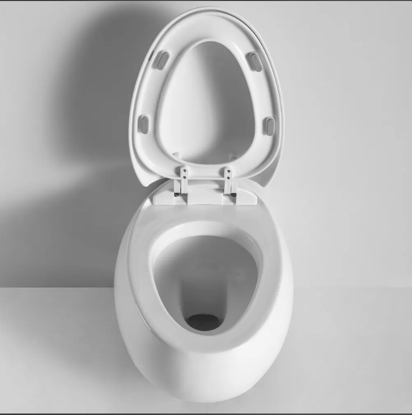 Vägghängd toalettstol Vägghängd toalettstol