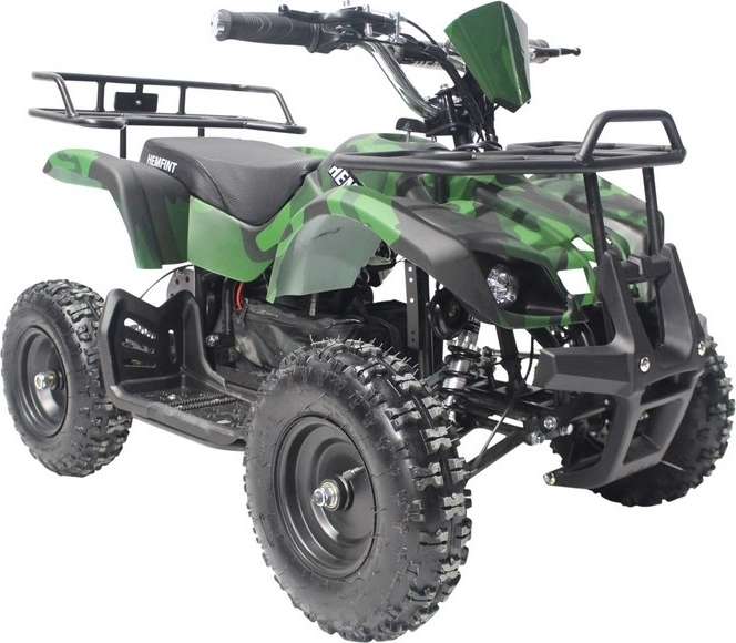 Elektrisk Mini-Fyrhjuling - 800W