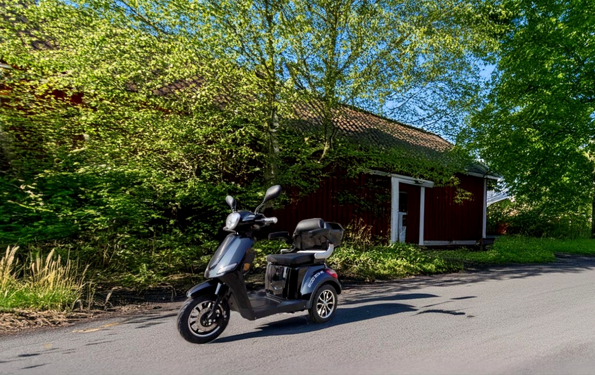 Promenadskoter Eco Zone - Svart