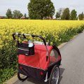 Kundbild Cykelvagn/joggingvagn med st�td�mpare - Bl�: Underbar start p� sommaren efter...