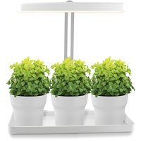 Växtbelysning LED Mini Garden T-tak Växtbelysning LED Mini Garden T-tak