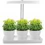 Vxtbelysning LED Mini Garden T-tak