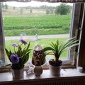 Då var första fönstret monterat gick väldigt bra och lätt Fast fönster 3-glas - PVC - U-värde 0,96