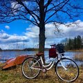 Kundbild Damcykel Classic 26