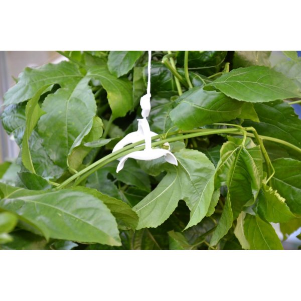 Spaljeringskit Spaljeringskit