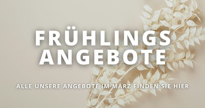 Angebote bei Freddyhaus