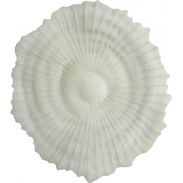 Korall v�ggdekoration D 48 cm - Ljus