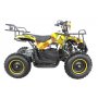 Elektrisches Mini-Quad - 800W
