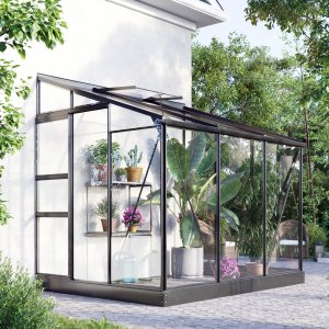Väggväxthus Nimas 4,8 m² - svart - härdat glas + Växthusrengöring