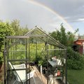 Regnbåge över mitt fina växthus, Popular 6,2 m2 Växthus Popular 6,2 m² - Svart med härdat glas