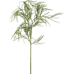 Grevillea konstv�xt