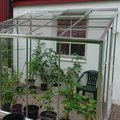 Kundbild V�ggv�xthus Royal - 4,8 m�: Royal v�xthus som nu �r f�rdigt....