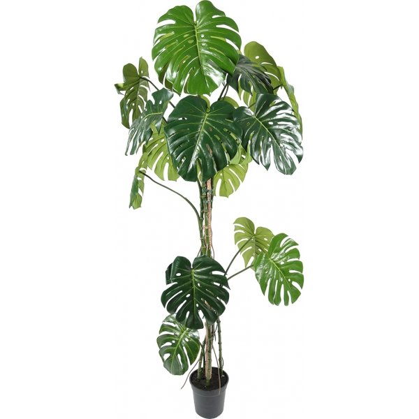 Monstera konstv�xt 180 cm