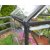Canopia Harmony Vxthus i Polykarbonat 4,6 m - Mrkgr/klarglas