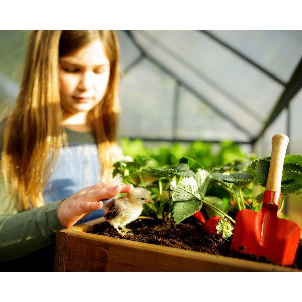 Canopia Mythos Polycarbonate Drivhus 4,6 m² - Mørkegrå Canopia Mythos Polycarbonate Drivhus 4,6 m² - Mørkegrå