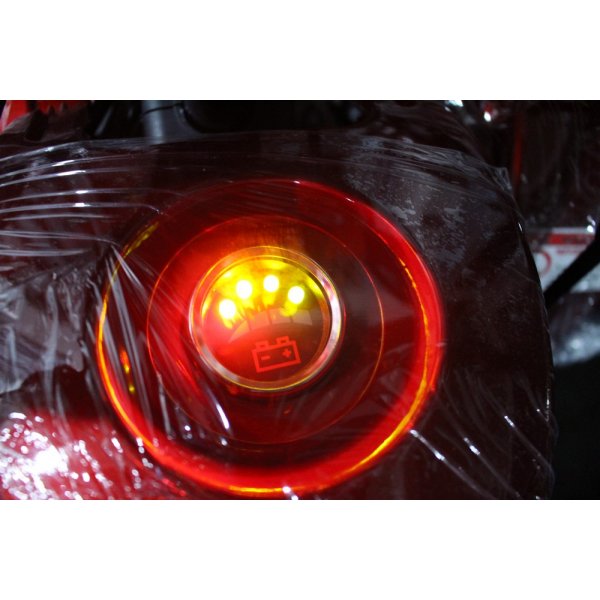 Elektrisk Fyrhjuling - 1200W Elektrisk Fyrhjuling - 1200W