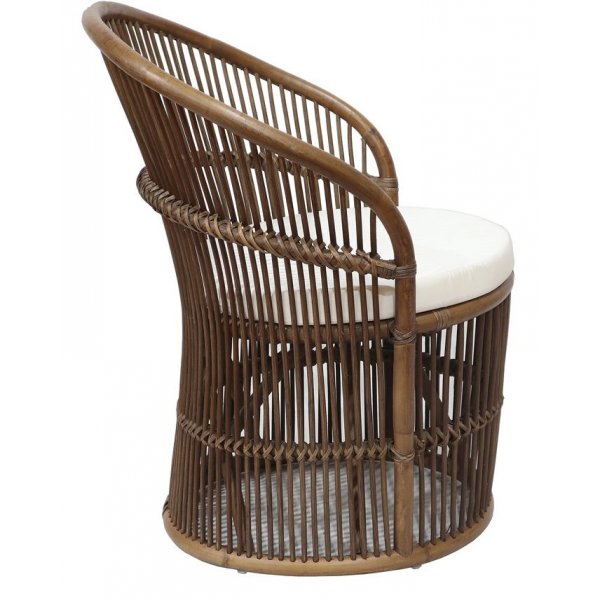 Narva ftlj i rotting - Brunbets