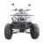Elektrisk Fyrhjuling - 4200W (4WD) + Lsktting 8 mm