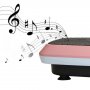 Vibrationsplatta SVP06