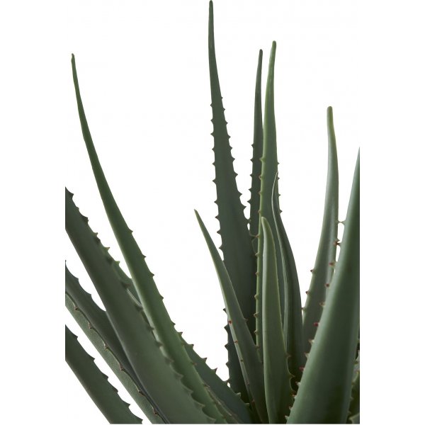 Aloe Vera konstv�xt - H:51 cm - Gr�n