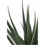 Aloe Vera konstv�xt - H:51 cm - Gr�n