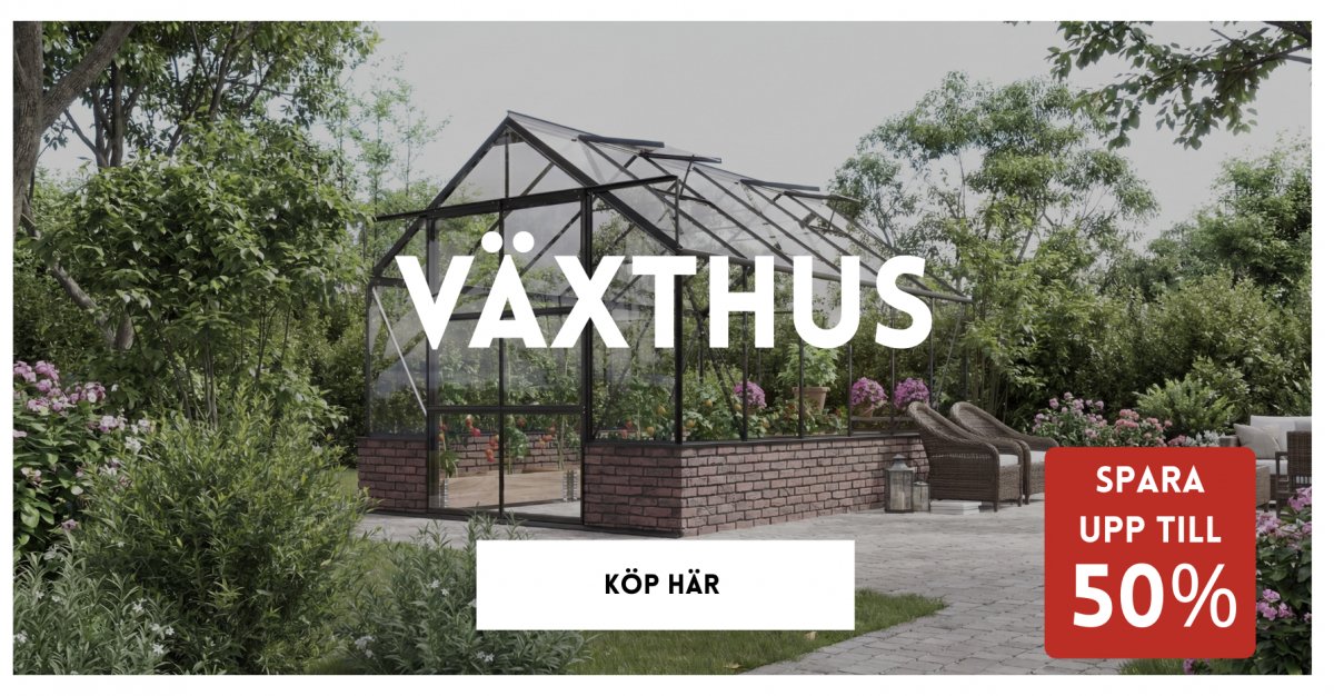 V�xthus