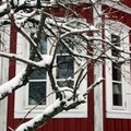 3-glasfönster Trä utåtgående - 2-Luft - U-värde 1,1 3-glasfönster Trä utåtgående - 2-Luft - U-värde 1,1