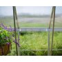 Canopia Balance Vxthus i Polykarbonat 17,9 m - Silver
