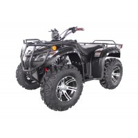 ATV med 4WD - 250cc