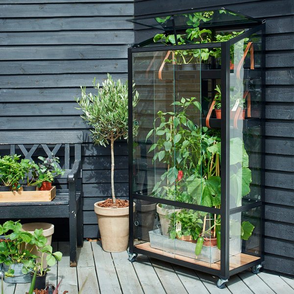 V�xthus City Green House