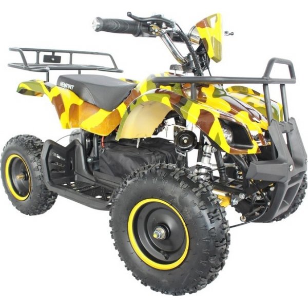 Elektrisches Mini-Quad - 800W