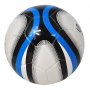 Fotboll Striker - svart & bl� (stl 5)