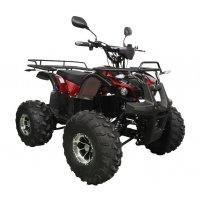 Elektrisk Fyrhjuling - 1200W Elektrisk Fyrhjuling - 1200W