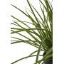 Gr�s konstv�xt - H:45 cm - Gr�n