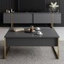 Lux TV-b�nk - Antracit/guld