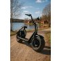 Elektroroller Fatbike - Schwarz 1000W