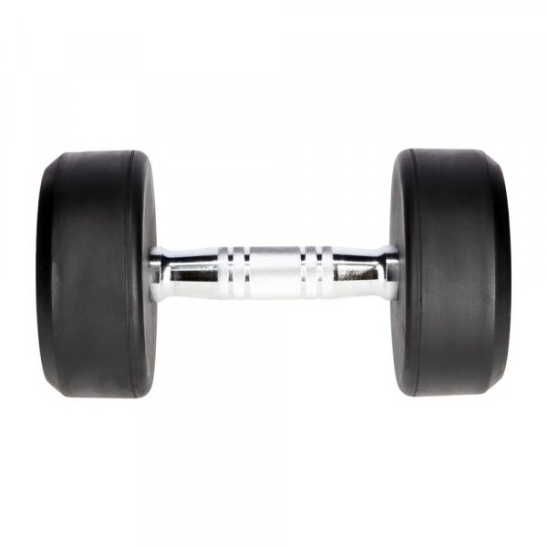 Dumbbell 10kgs Dumbbell 10kgs