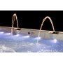 Swimspa/ Simspa
