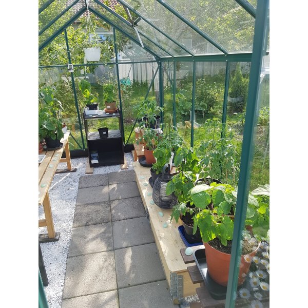 Vxthus Neptunus - Grnt 6,2 m hrdat glas