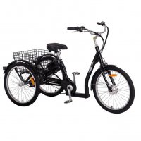 Trehjulig elcykel med 7 växlar - 250W Trehjulig elcykel med 7 växlar - 250W