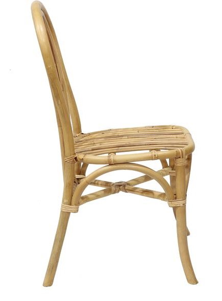 Nevada matstol i rotting - Natur